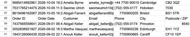 A CSV appended under the same data: row 88 is the CSV's header row again (Order ID, Order Date, Customer, Email), and the ZIP code on row 89 reads 8540.